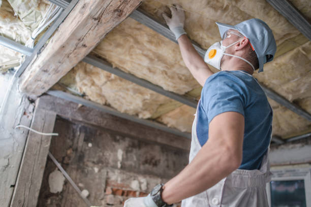 Best Commercial Insulation in Freeland, MI